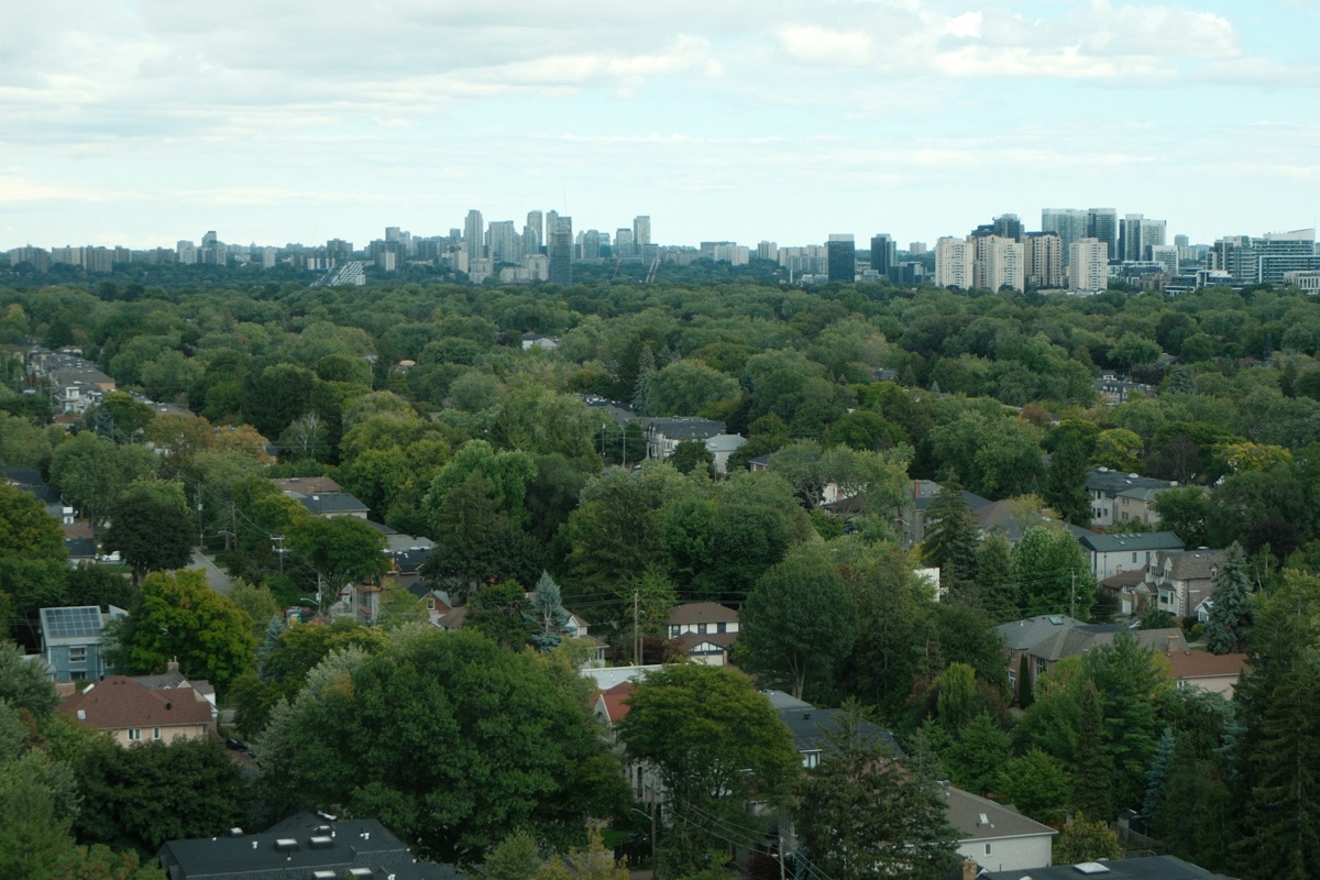 North York community